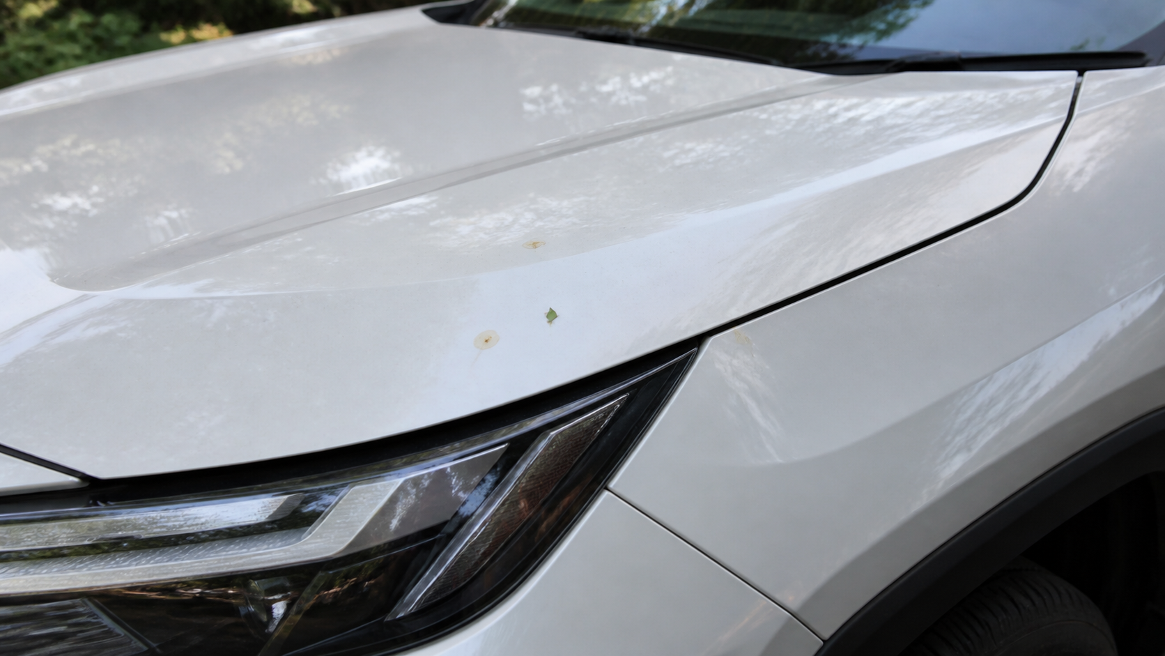 トヨタ RAV4のボンネットに付いた樹液らしい点を触る前に確認するイメージ